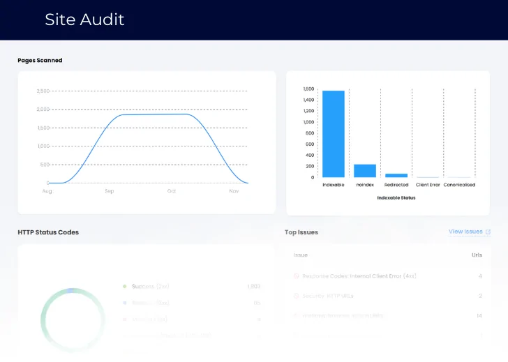 Click-Insights-Site-Audit Click Insights Site Audit Graphic.